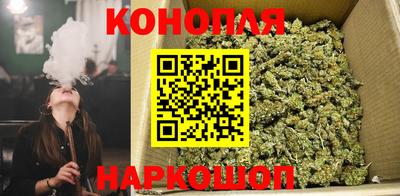 сатива Камышлов