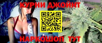 сатива Камышлов
