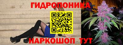 стаф Кандалакша