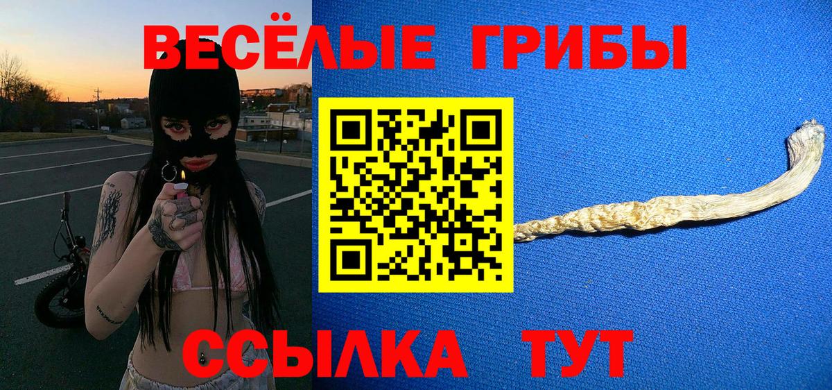 Фролово  Псилоцибиновые грибы Psilocybine cubensis  Галлюциногенные грибы прущие грибы  Вход с VPN 