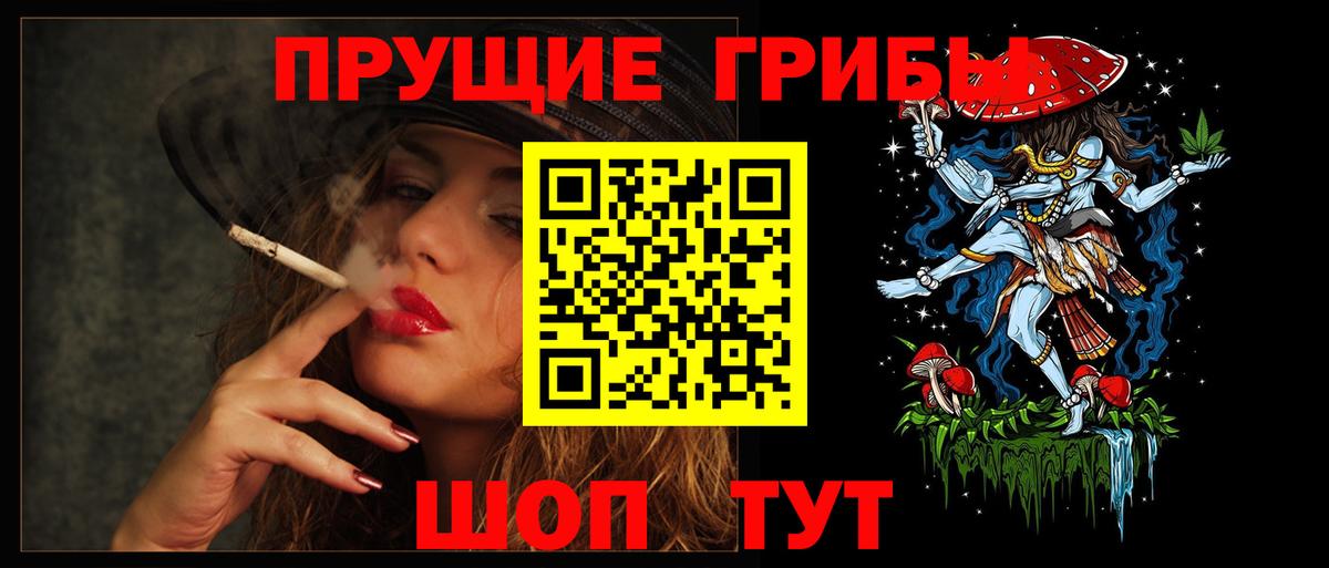 Псилоцибиновые грибы мицелий Фролово